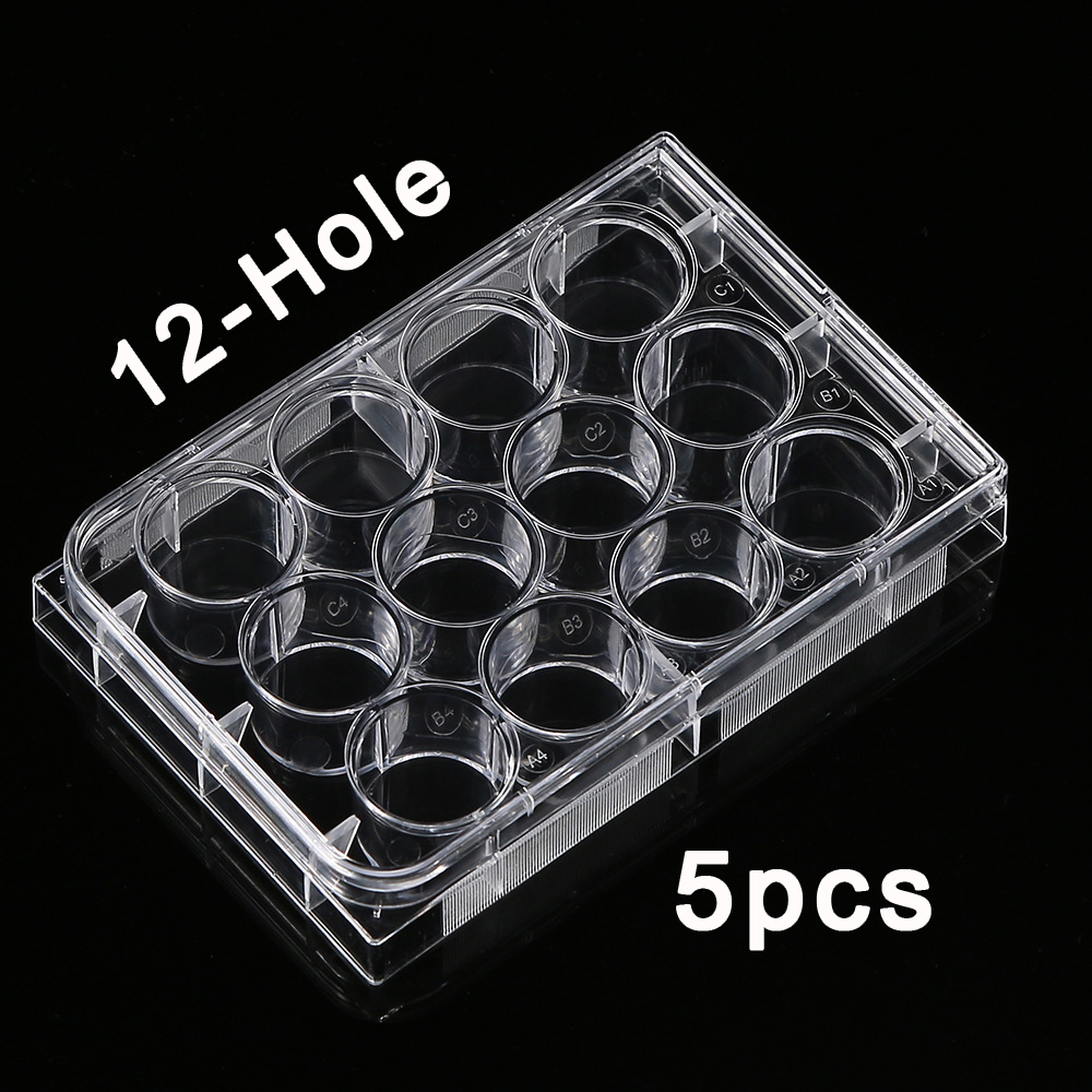5Pcs Polystyrene 12 Well Petri – Medical Wellness & Spa Werona recenzja i cena
