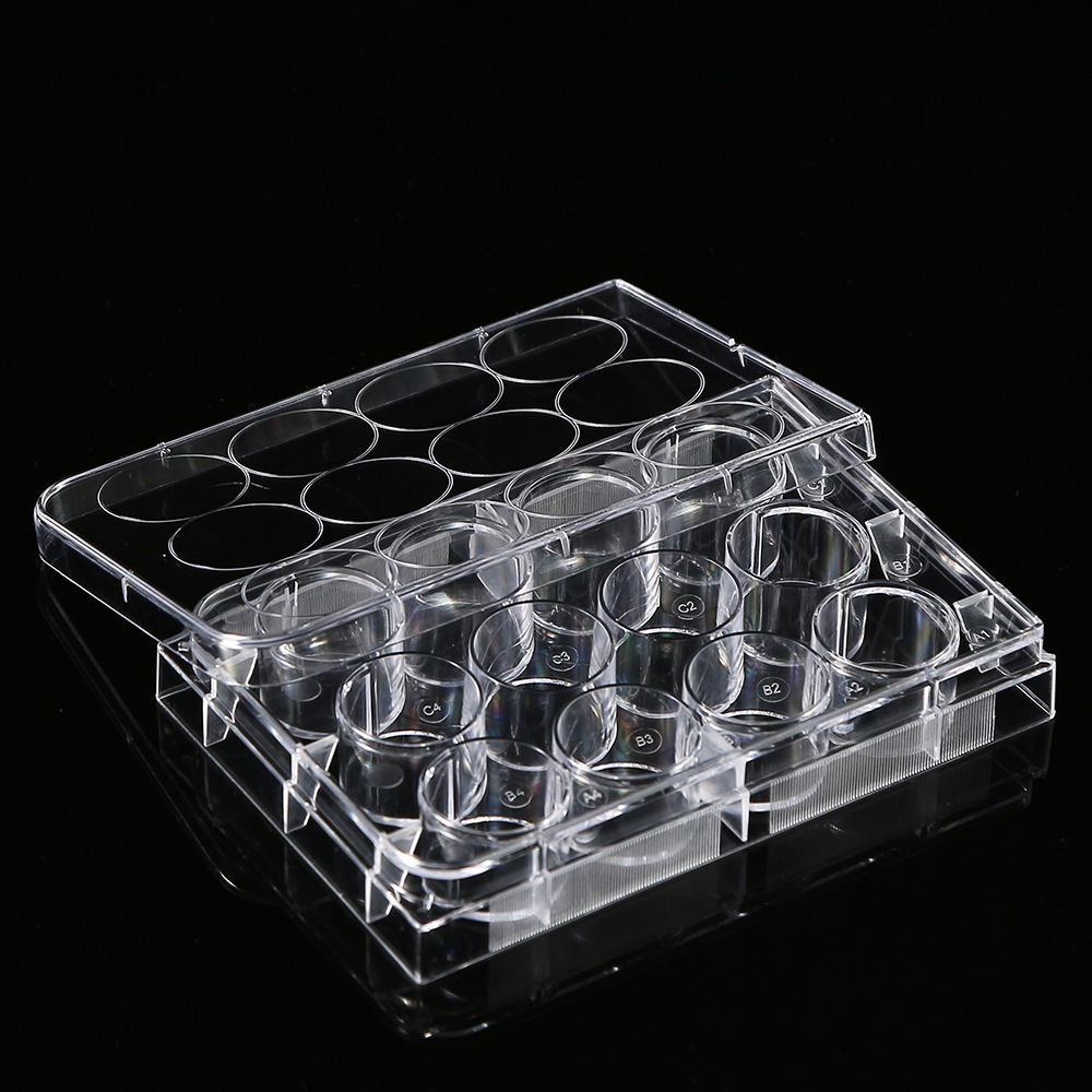 5Pcs Polystyrene 12 Well Petri – Medical Wellness & Spa Werona recenzja i cena