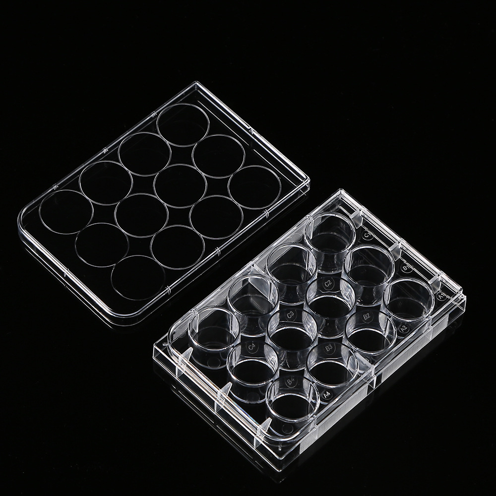 5Pcs Polystyrene 12 Well Petri – Medical Wellness & Spa Werona recenzja i cena